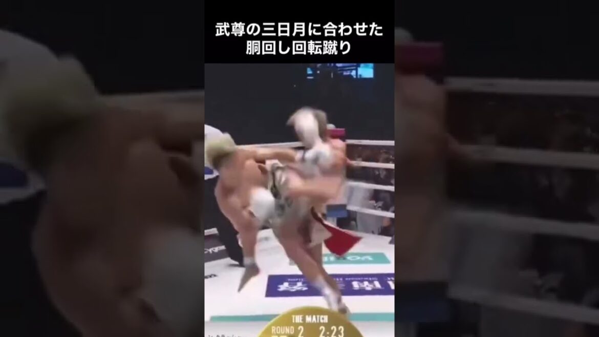 那須川天心vs武尊　胴回し回転蹴り